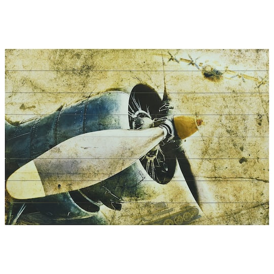 Empire Art Direct Arte de Legno 30" x 45" Airplane Digital Print Planks Wall Art